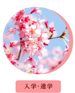 入学内祝 入園 進学内祝 進級 お返し