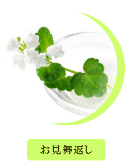 お見舞いお返し 退院 御礼 全快祝 快気祝 快気内祝