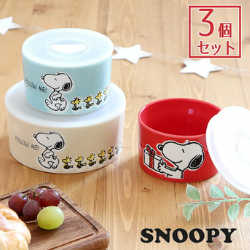 スヌーピーレンジ容器 セット